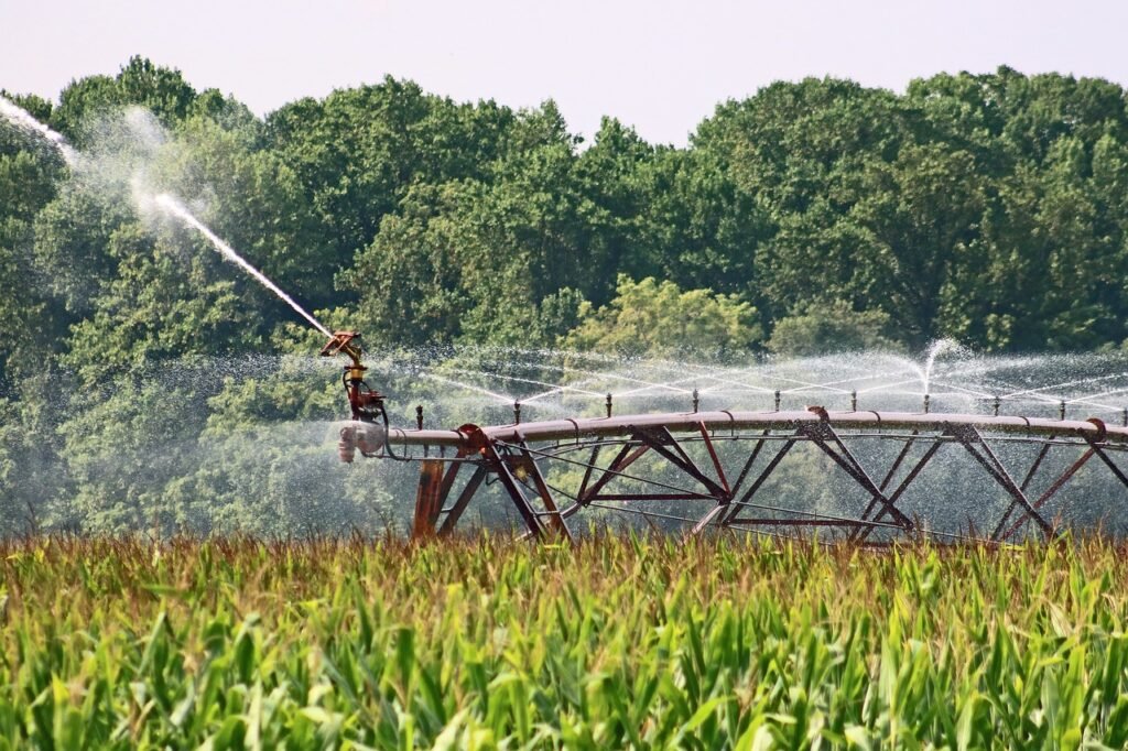 farm, agriculture, irrigation-4421270.jpg