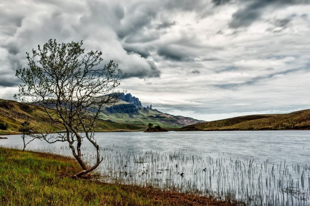 lake, coast, nature-192983.jpg