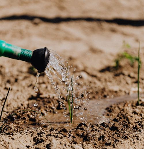 Image of a dirty filter in an irrigation system