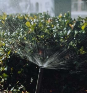 Irrigation filter cleaning